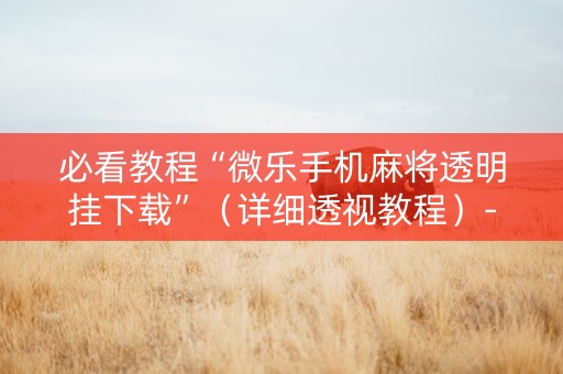 必看教程“微乐手机麻将透明挂下载”（详细透视教程）-哔哩哔哩