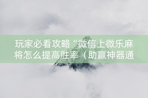 玩家必看攻略“微信上微乐麻将怎么提高胜率（助赢神器通用版）