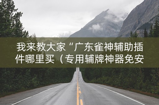 我来教大家“广东雀神辅助插件哪里买（专用辅牌神器免安装）