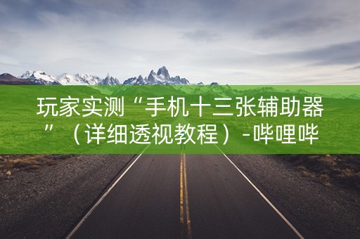 玩家实测“手机十三张辅助器”（详细透视教程）-哔哩哔哩