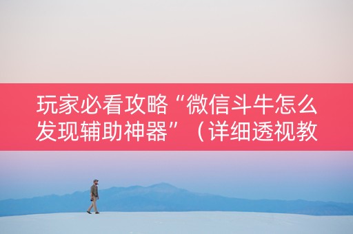 玩家必看攻略“微信斗牛怎么发现辅助神器”（详细透视教程）-哔哩哔哩
