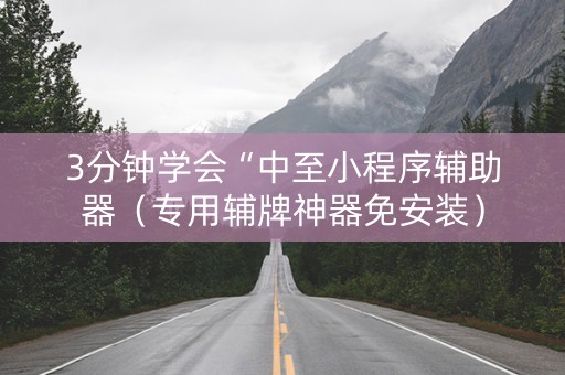 3分钟学会“中至小程序辅助器（专用辅牌神器免安装）