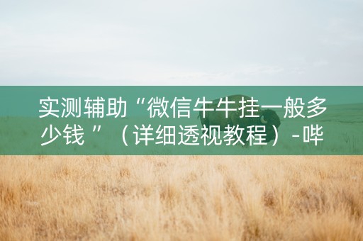 实测辅助“微信牛牛挂一般多少钱 ”（详细透视教程）-哔哩哔哩