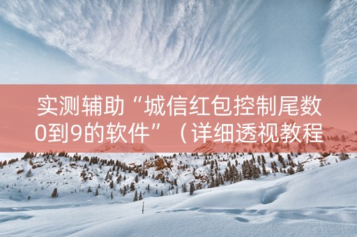 实测辅助“城信红包控制尾数0到9的软件”（详细透视教程）-哔哩哔哩
