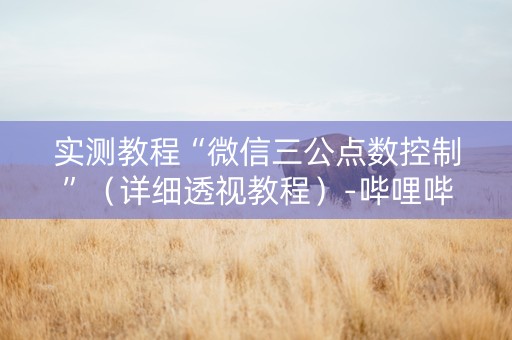 实测教程“微信三公点数控制”（详细透视教程）-哔哩哔哩