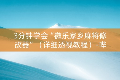 3分钟学会“微乐家乡麻将修改器”（详细透视教程）-哔哩哔哩