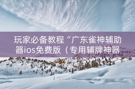 玩家必备教程“广东雀神辅助器ios免费版（专用辅牌神器免安装）