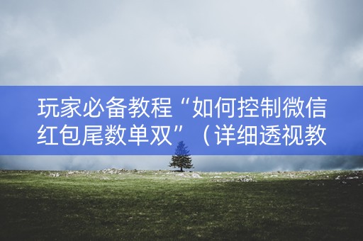 玩家必备教程“如何控制微信红包尾数单双”（详细透视教程）-哔哩哔哩