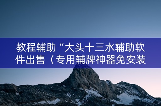 教程辅助“大头十三水辅助软件出售（专用辅牌神器免安装）