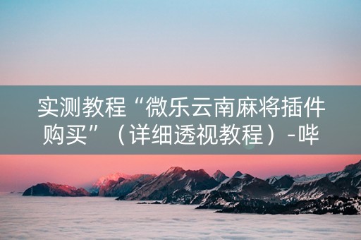 实测教程“微乐云南麻将插件购买”（详细透视教程）-哔哩哔哩