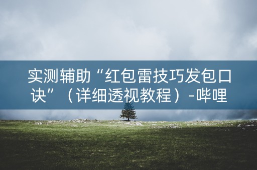 实测辅助“红包雷技巧发包口诀”（详细透视教程）-哔哩哔哩