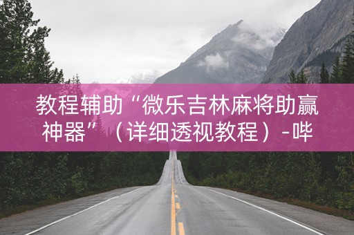 教程辅助“微乐吉林麻将助赢神器”（详细透视教程）-哔哩哔哩
