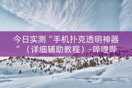 今日实测“手机扑克透明神器”（详细辅助教程）-哔哩哔哩