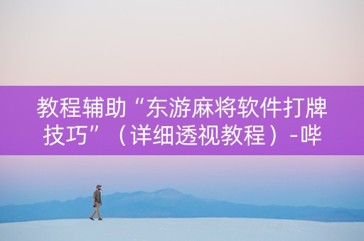 教程辅助“东游麻将软件打牌技巧”（详细透视教程）-哔哩哔哩
