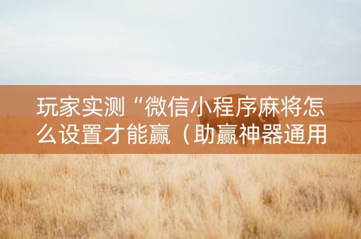 玩家实测“微信小程序麻将怎么设置才能赢（助赢神器通用版）