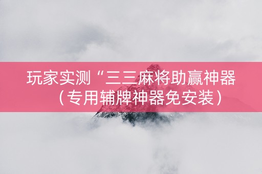 玩家实测“三三麻将助赢神器（专用辅牌神器免安装）