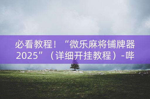 必看教程！“微乐麻将铺牌器2025”（详细开挂教程）-哔哩哔哩