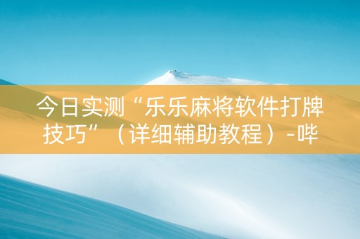 今日实测“乐乐麻将软件打牌技巧”（详细辅助教程）-哔哩哔哩