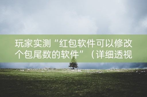 玩家实测“红包软件可以修改个包尾数的软件”（详细透视教程）-哔哩哔哩