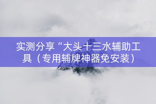 实测分享“大头十三水辅助工具（专用辅牌神器免安装）