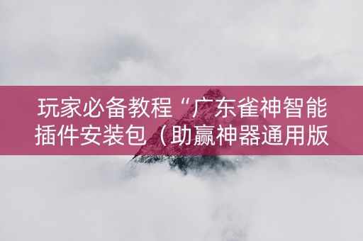 玩家必备教程“广东雀神智能插件安装包（助赢神器通用版）