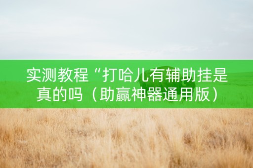 实测教程“打哈儿有辅助挂是真的吗（助赢神器通用版）