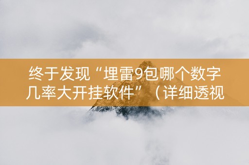 终于发现“埋雷9包哪个数字几率大开挂软件”（详细透视教程）-哔哩哔哩
