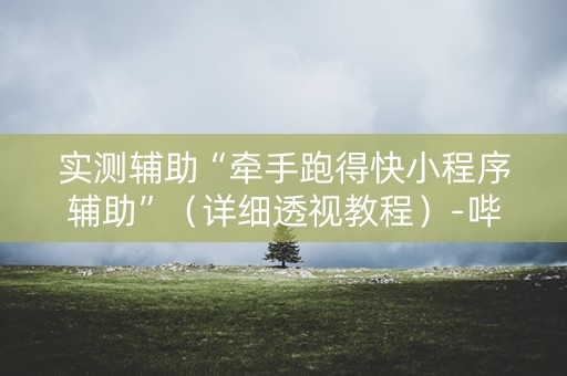实测辅助“牵手跑得快小程序辅助”（详细透视教程）-哔哩哔哩