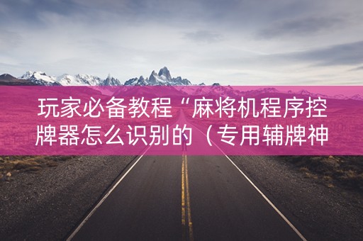 玩家必备教程“麻将机程序控牌器怎么识别的（专用辅牌神器免安装）