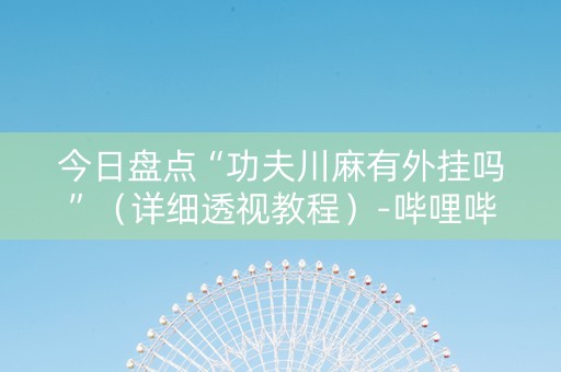 今日盘点“功夫川麻有外挂吗”（详细透视教程）-哔哩哔哩