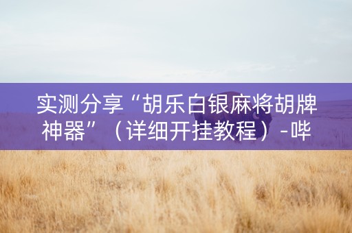 实测分享“胡乐白银麻将胡牌神器”（详细开挂教程）-哔哩哔哩