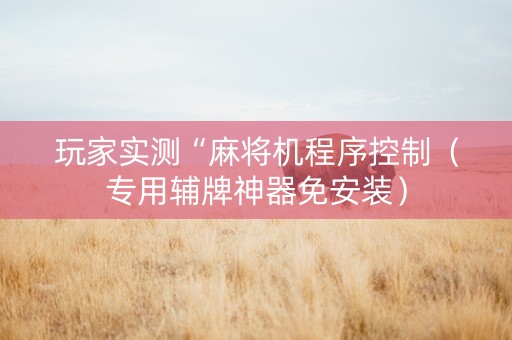 玩家实测“麻将机程序控制（专用辅牌神器免安装）