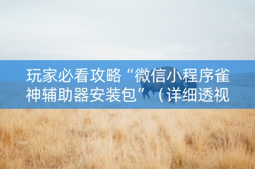 玩家必看攻略“微信小程序雀神辅助器安装包”（详细透视教程）-哔哩哔哩