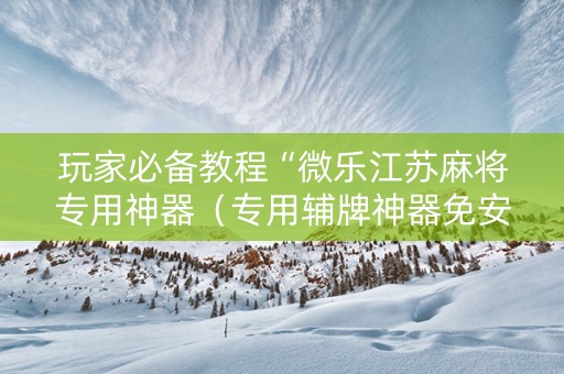 玩家必备教程“微乐江苏麻将专用神器（专用辅牌神器免安装）