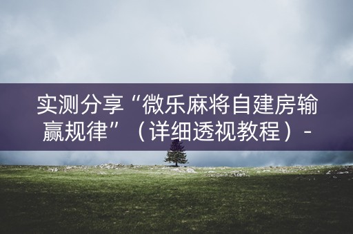 实测分享“微乐麻将自建房输赢规律”（详细透视教程）-哔哩哔哩