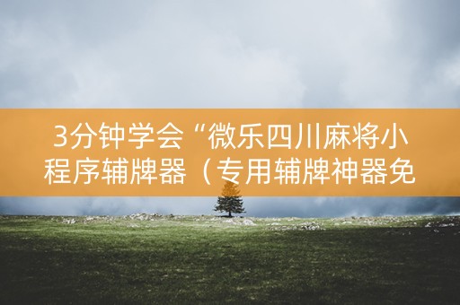 3分钟学会“微乐四川麻将小程序辅牌器（专用辅牌神器免安装）