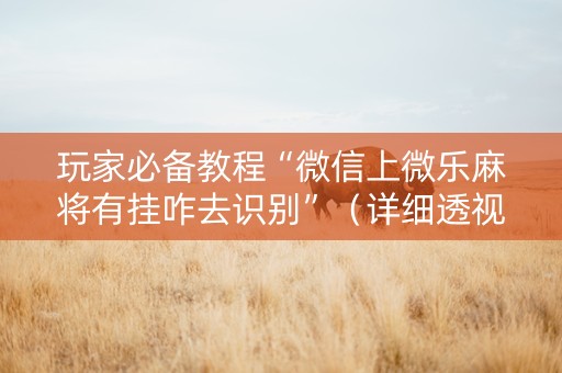 玩家必备教程“微信上微乐麻将有挂咋去识别”（详细透视教程）-哔哩哔哩