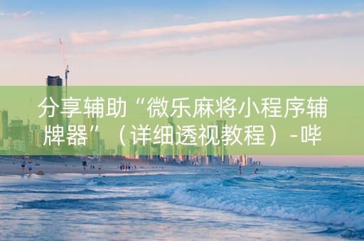 分享辅助“微乐麻将小程序辅牌器”（详细透视教程）-哔哩哔哩