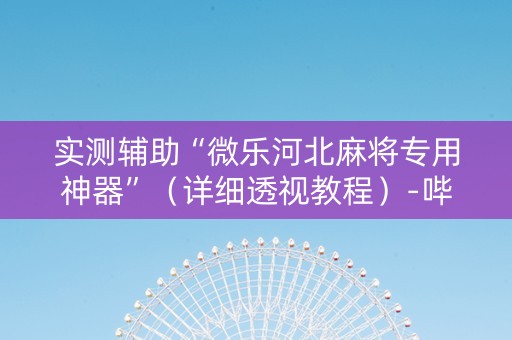 实测辅助“微乐河北麻将专用神器”（详细透视教程）-哔哩哔哩