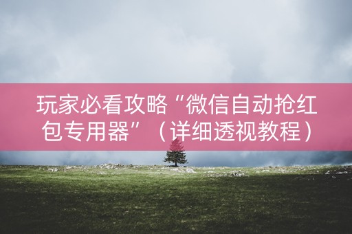 玩家必看攻略“微信自动抢红包专用器”（详细透视教程）-哔哩哔哩