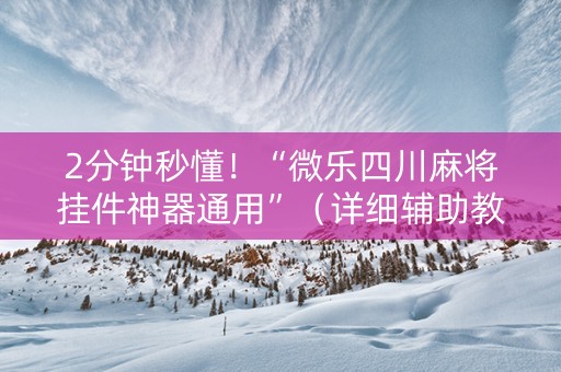 2分钟秒懂！“微乐四川麻将挂件神器通用”（详细辅助教程）-哔哩哔哩