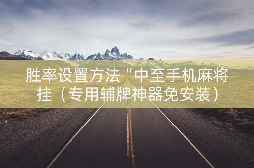 胜率设置方法“中至手机麻将挂（专用辅牌神器免安装）