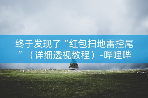 终于发现了“红包扫地雷控尾”（详细透视教程）-哔哩哔哩