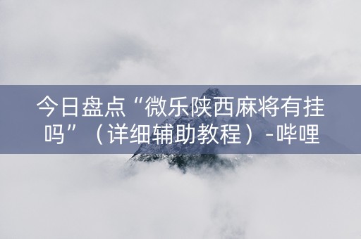 今日盘点“微乐陕西麻将有挂吗”（详细辅助教程）-哔哩哔哩