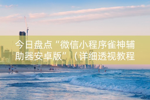 今日盘点“微信小程序雀神辅助器安卓版”（详细透视教程）-哔哩哔哩
