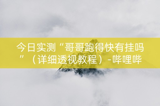 今日实测“哥哥跑得快有挂吗”（详细透视教程）-哔哩哔哩