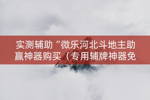 实测辅助“微乐河北斗地主助赢神器购买（专用辅牌神器免安装）