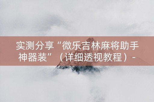 实测分享“微乐吉林麻将助手神器装”（详细透视教程）-哔哩哔哩