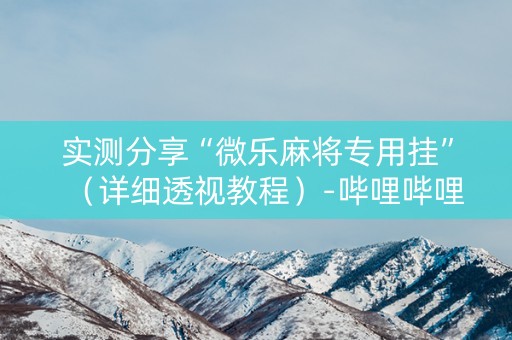 实测分享“微乐麻将专用挂”（详细透视教程）-哔哩哔哩