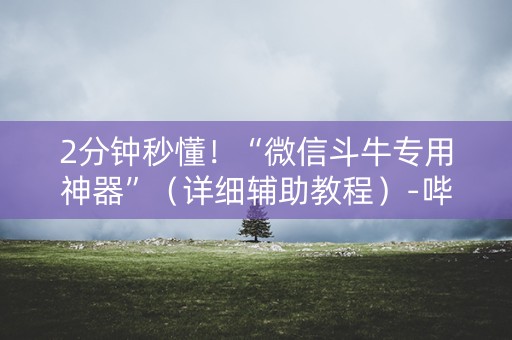 2分钟秒懂！“微信斗牛专用神器”（详细辅助教程）-哔哩哔哩